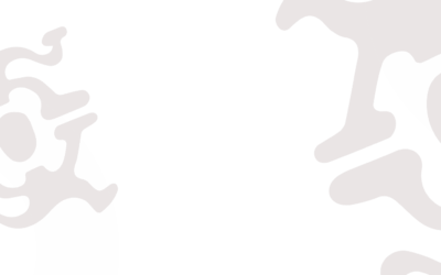 Bases legales concursos