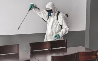 Desinfecta tu espacio de trabajo con Servinalopó
